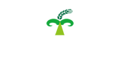 内蒙古岳正商贸有限责任公司中英文网站